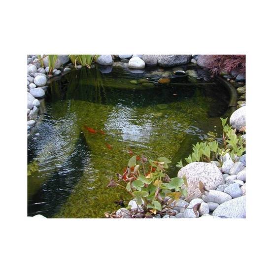Ubbink - Bassin préformé HDPE Océan I 1500 L - Ubbink - Image 1