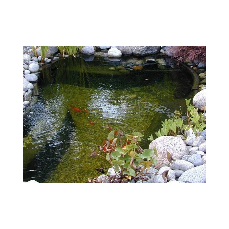Ubbink - Bassin préformé HDPE Océan I 1500 L - Ubbink