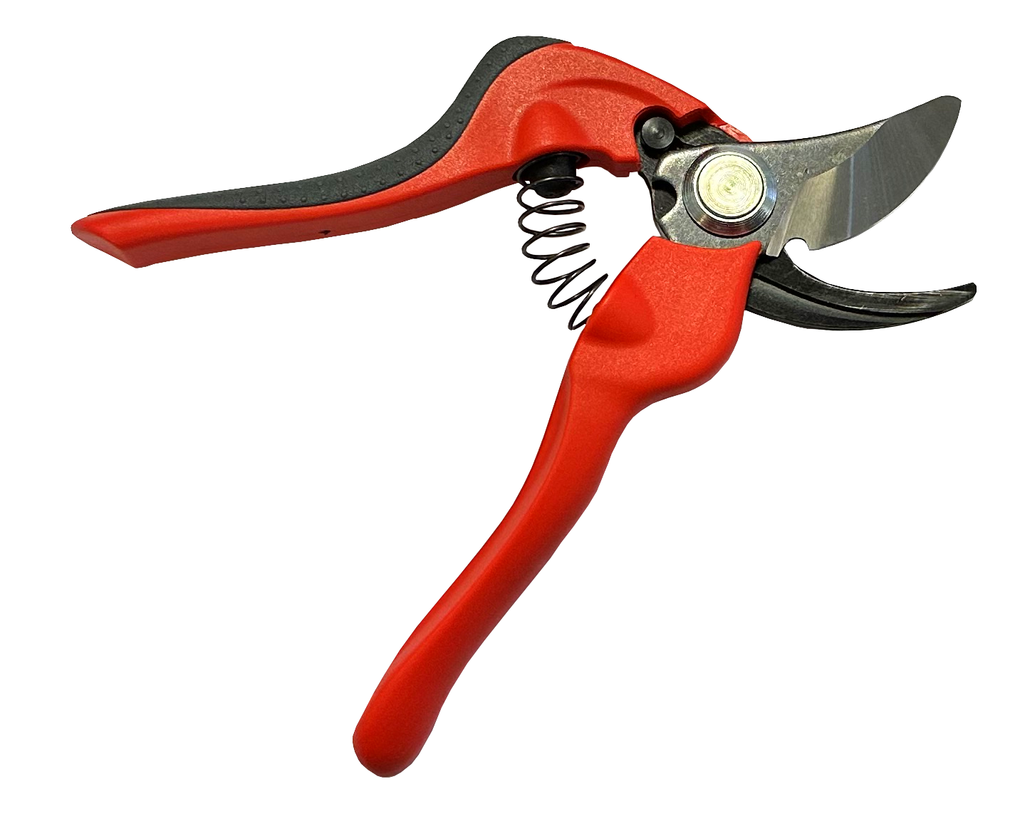 Ecloz - Sécateur ergonomique taille S ECLOZ - Image 4
