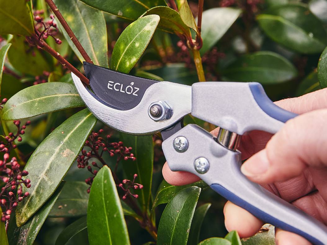 Ecloz - Sécateur avec poignée aluminium petit modèle - ECLOZ - Image 10