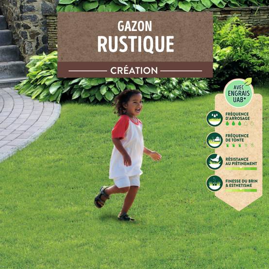 Ecloz - Semences de gazon - Rustique 1 kg - ECLOZ - Image 9