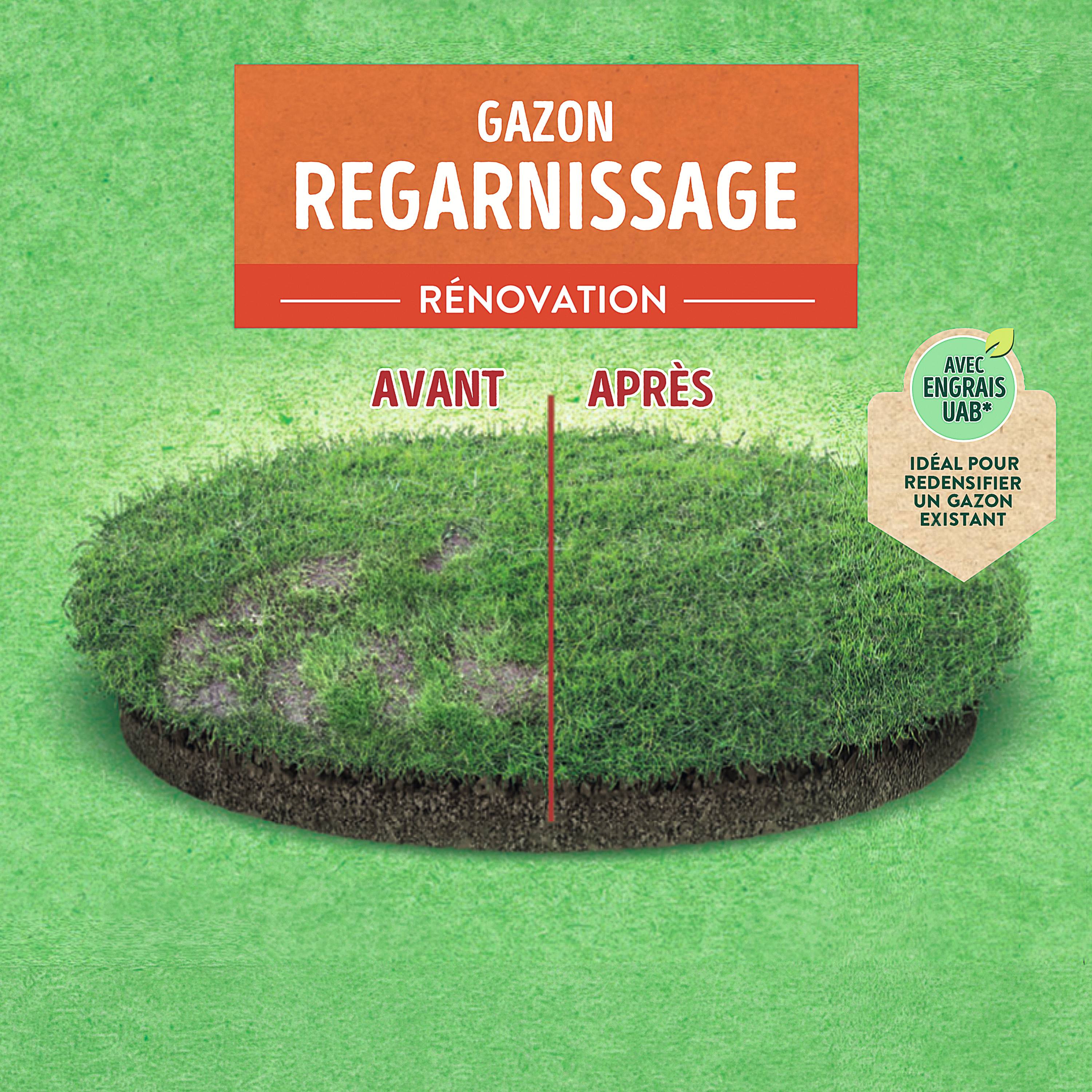 Ecloz - Semences de gazon - Regarnissage 2,5 kg - ECLOZ - Image 7
