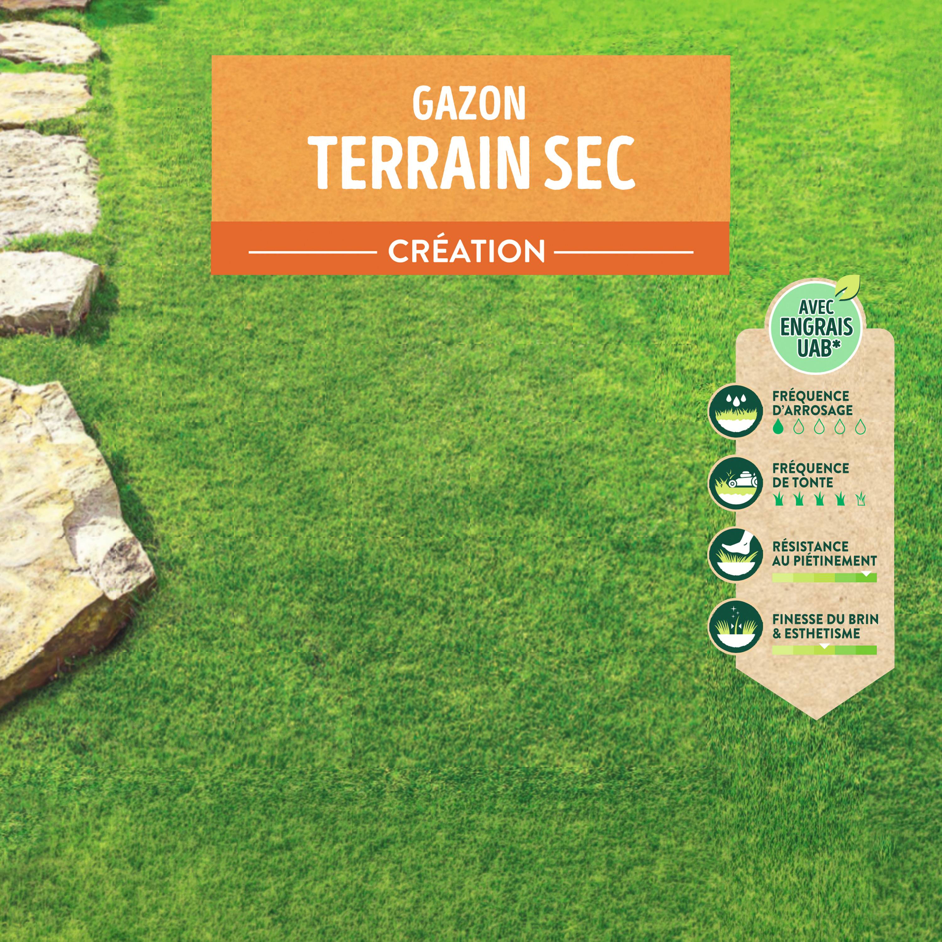 Ecloz - Semences de gazon - Terrain sec 5 kg - ECLOZ - Image 7