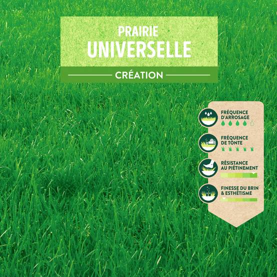 Ecloz - Semences de gazon | Prairie universelle 5 kg - ECLOZ - Image 7