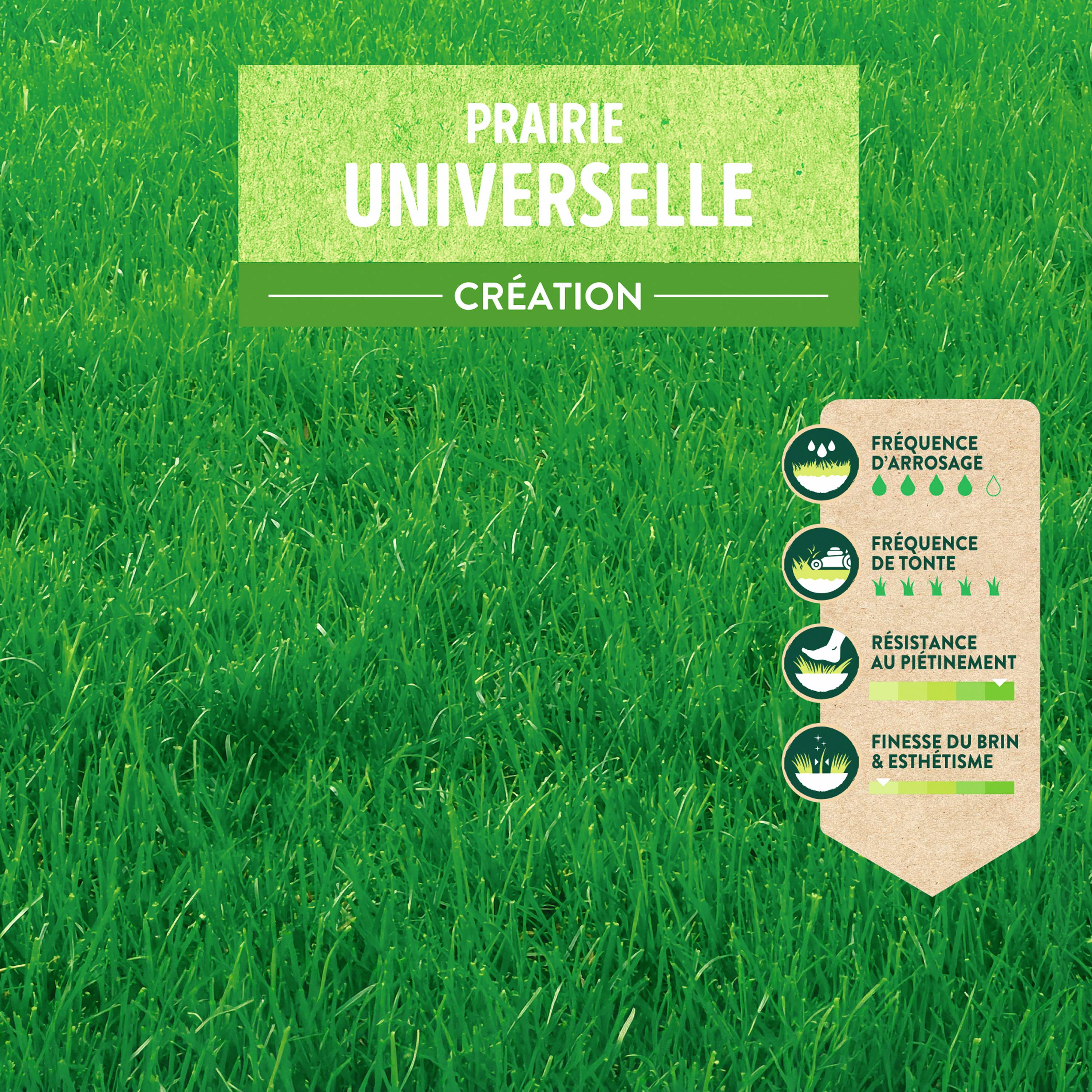Ecloz - Semences de gazon | Prairie universelle 5 kg - ECLOZ - Image 7