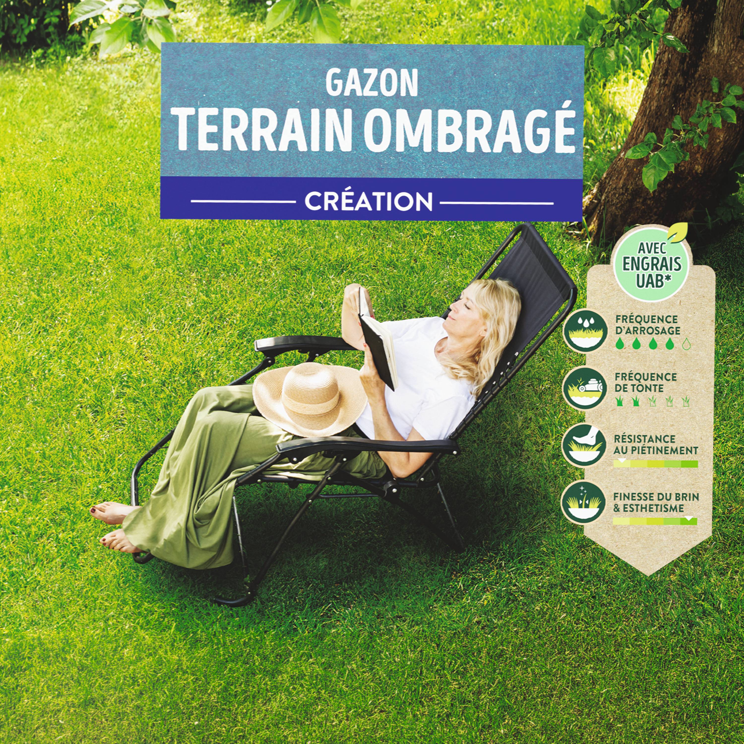 Ecloz - Semences de gazon - Terrain ombragé 2,5 kg - ECLOZ - Image 7