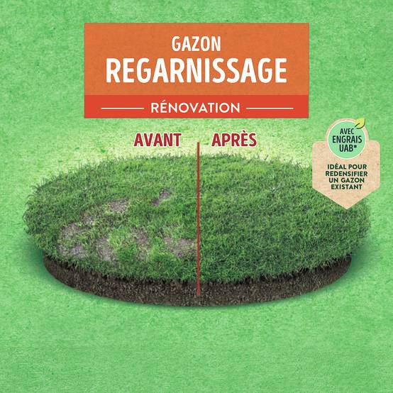 Ecloz - Semences de gazon - Regarnissage 5 kg - ECLOZ - Image 4