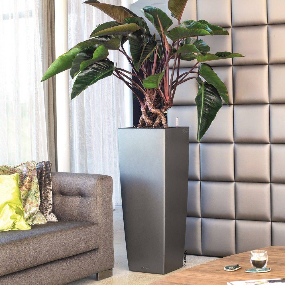Lechuza - Jardinière Cubico Alto Premium 40 Plastique Charbon Métallisé 40 x 40 x 105 cm - LECHUZA
