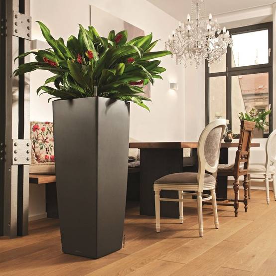 Pot Lechuza Cubico alto Premium L40 H105 cm anthracite métallisé - Image 5