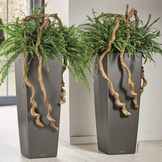 Pot Lechuza Cubico alto Premium L40 H105 cm anthracite métallisé - Image 3