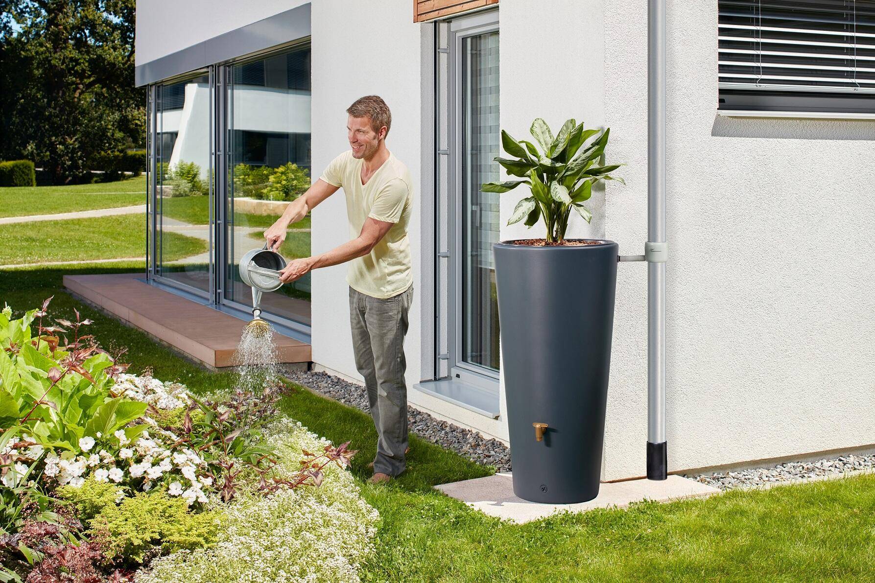 Graf - Récupérateur d'eau de pluie 220L mural robinet et collecteur inclus 2en1 gris graphite Vaso - GRAF - Image 1