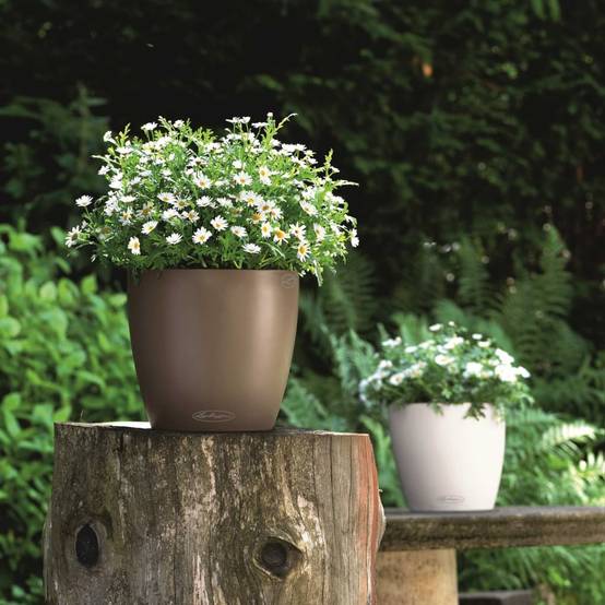 Pot de jardinage muscade - LECHUZA - Image 2