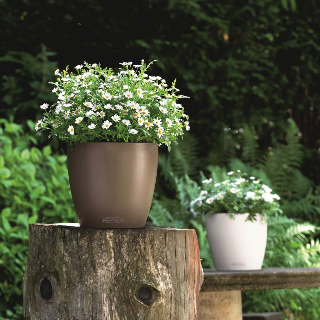 Pot de jardinage muscade - LECHUZA - Image 5