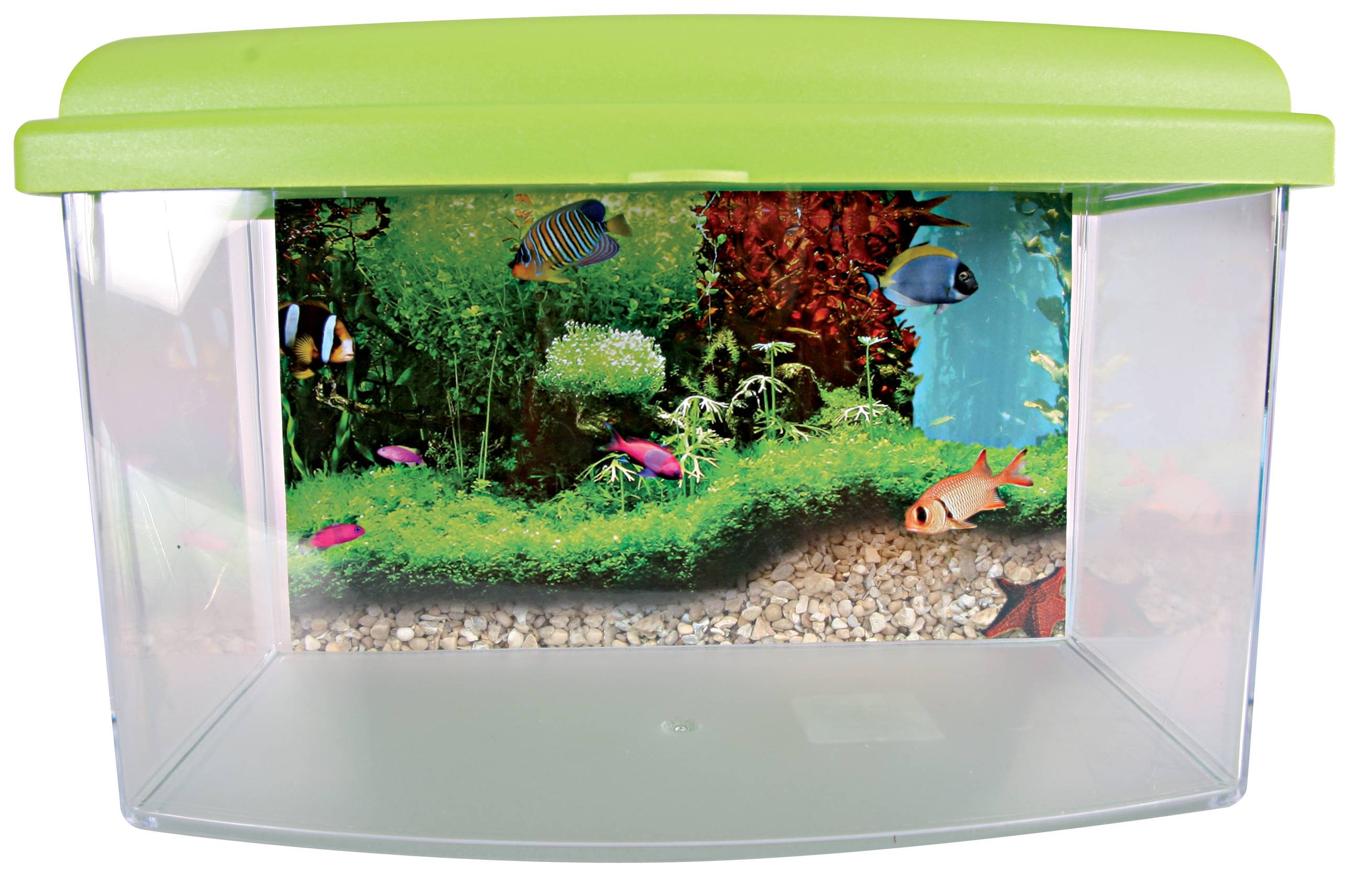 Aquarium Travel Box II plastique transparent 4,5 L 22 cm – ZOLUX - Image 3