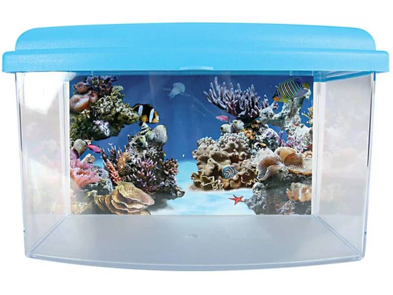Aquarium Travel Box II plastique transparent 4,5 L 22 cm – ZOLUX - Image 2
