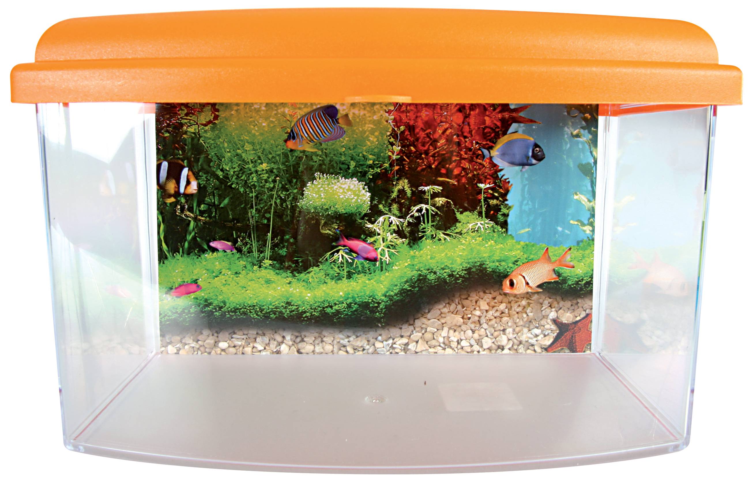 Aquarium Travel Box II plastique transparent 4,5 L 22 cm – ZOLUX - Image 4