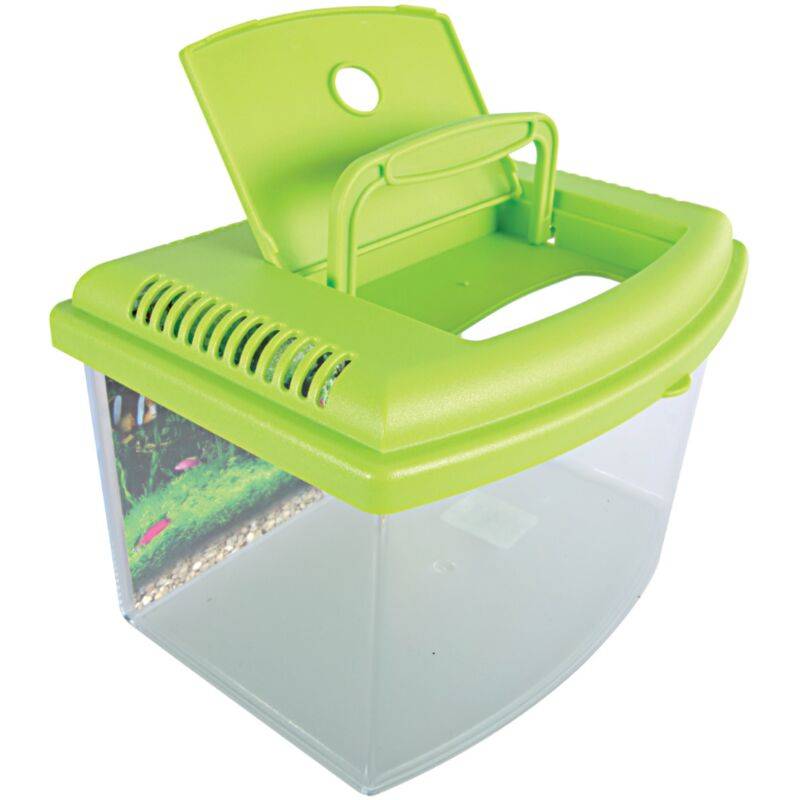 Aquarium Travel Box II plastique transparent 4,5 L 22 cm – ZOLUX - Image 6