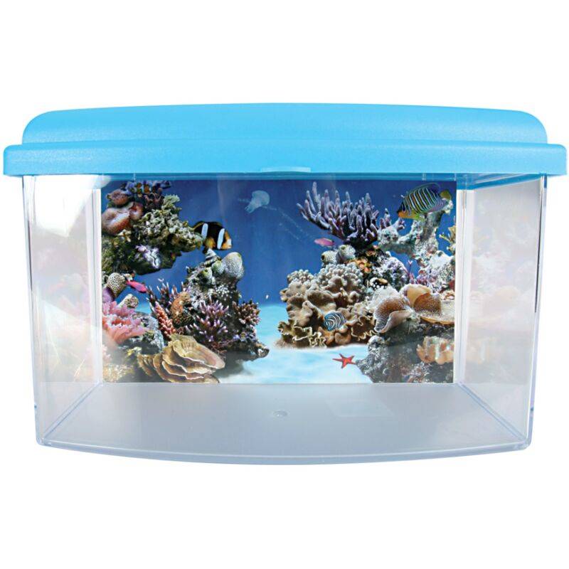 Aquarium Travel Box II plastique transparent 4,5 L 22 cm – ZOLUX - Image 5
