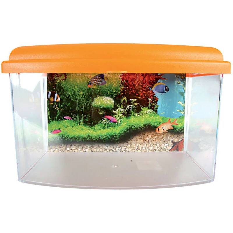 Boîte de transport aquarium plastique medium 9,5 L – ZOLUX - Image 5