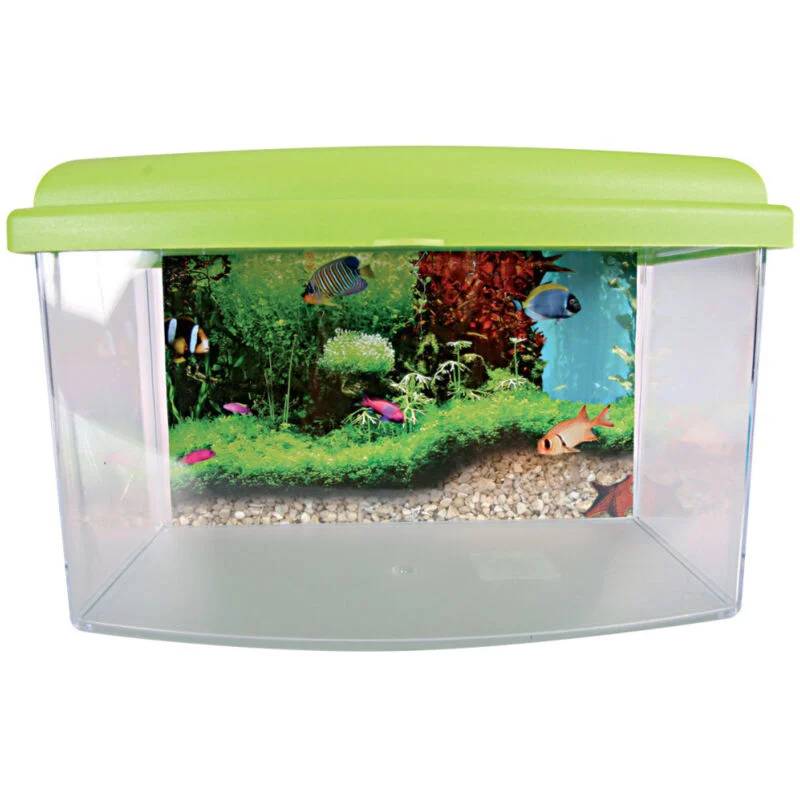Boîte de transport aquarium plastique medium 9,5 L – ZOLUX - Image 4