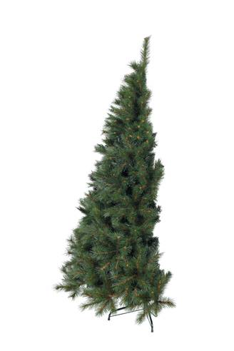 Ecloz - Sapin Huez demi H.180 cm - ECLOZ
