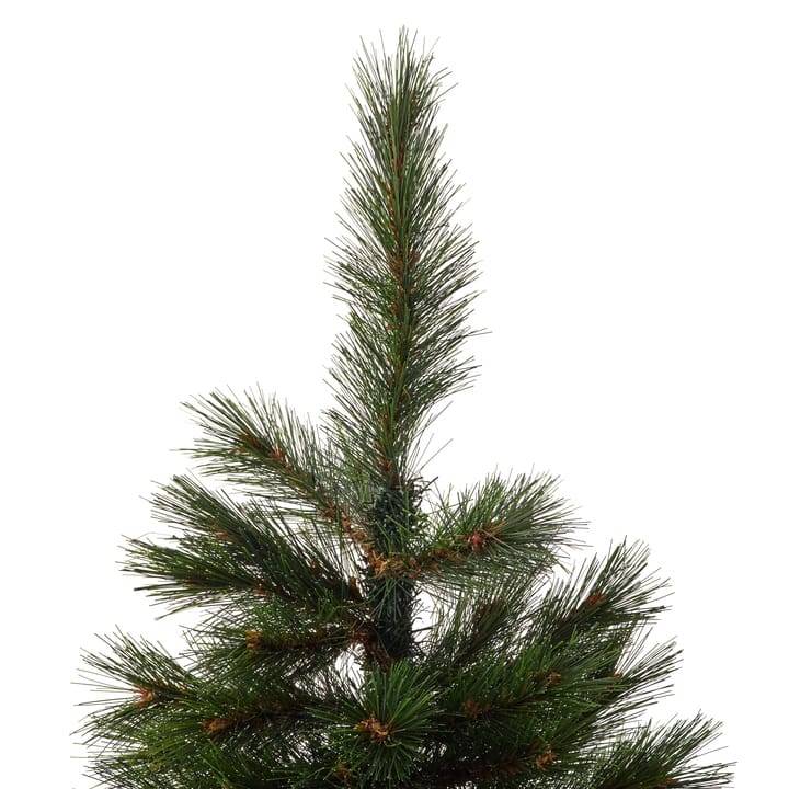 Ecloz - Sapin Huez demi H.180 cm - ECLOZ - Image 4