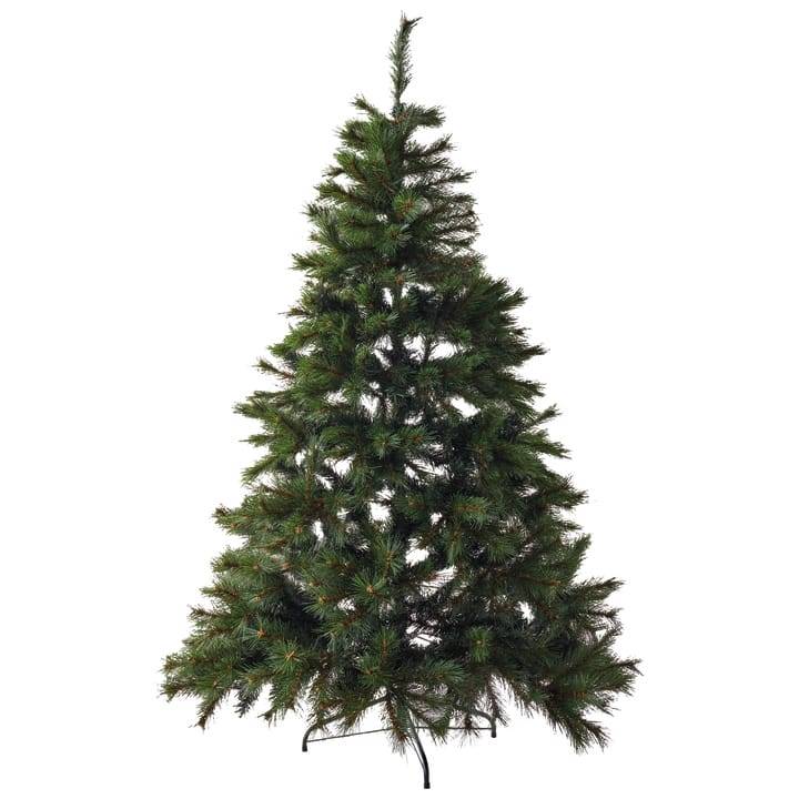 Ecloz - Sapin Huez demi H.180 cm - ECLOZ - Image 3
