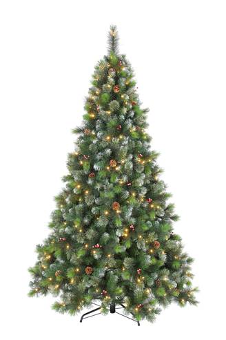 Ecloz - Sapin Valloire LED H.180 cm - ECLOZ