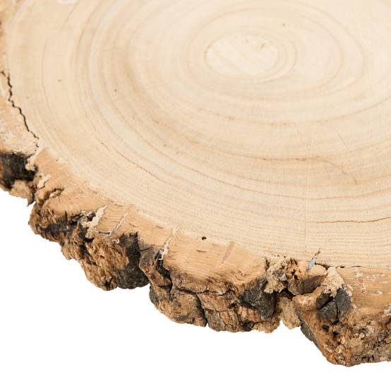 Ecloz - Plat rondin de bois - ECLOZ - Image 3