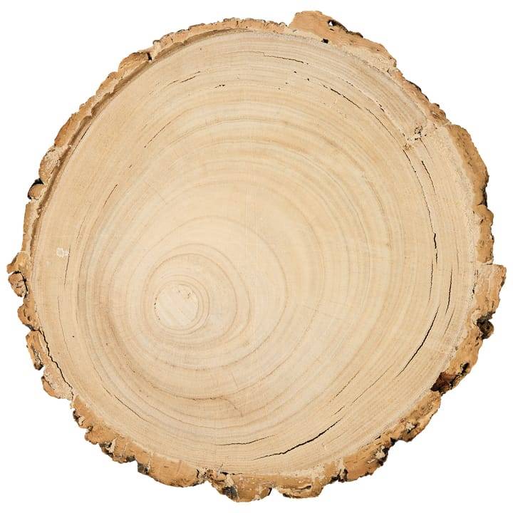 Ecloz - Plat rondin de bois - ECLOZ - Image 2