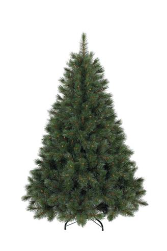 Ecloz - Sapin Huez H.300 cm - ECLOZ