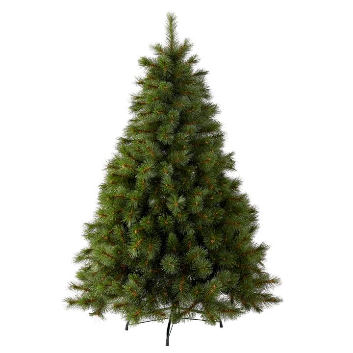 Ecloz - Sapin Huez H.300 cm - ECLOZ - Image 4