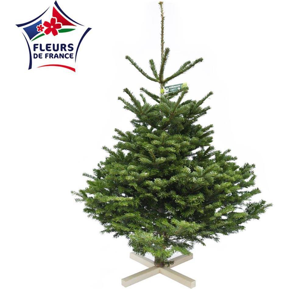 Naudet Sapin - Sapin de Noël Nordmann 125/150cm + croisillon