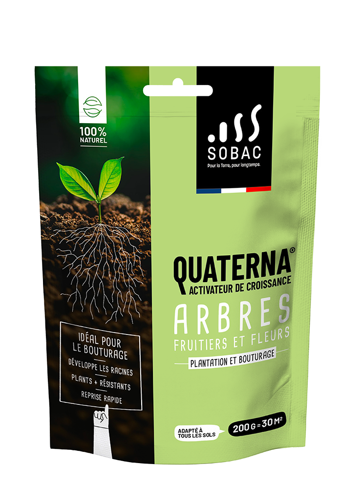 Activateur de Croissance Racinaire  Quaterna plantation 200 g