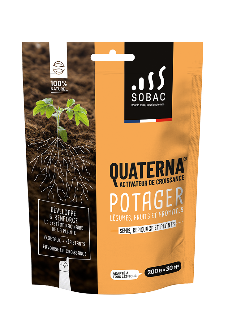 Activateur de Croissance Racinaire Quaterna potager  200 g