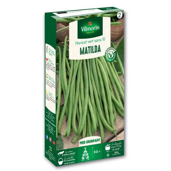 Vilmorin - Haricot Matilda serie 2 boîte graines 140 g - Vilmorin - Image 1