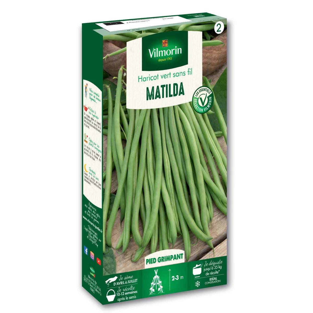 Vilmorin - Haricot Matilda serie 2 boîte graines 140 g - Vilmorin - Image 1