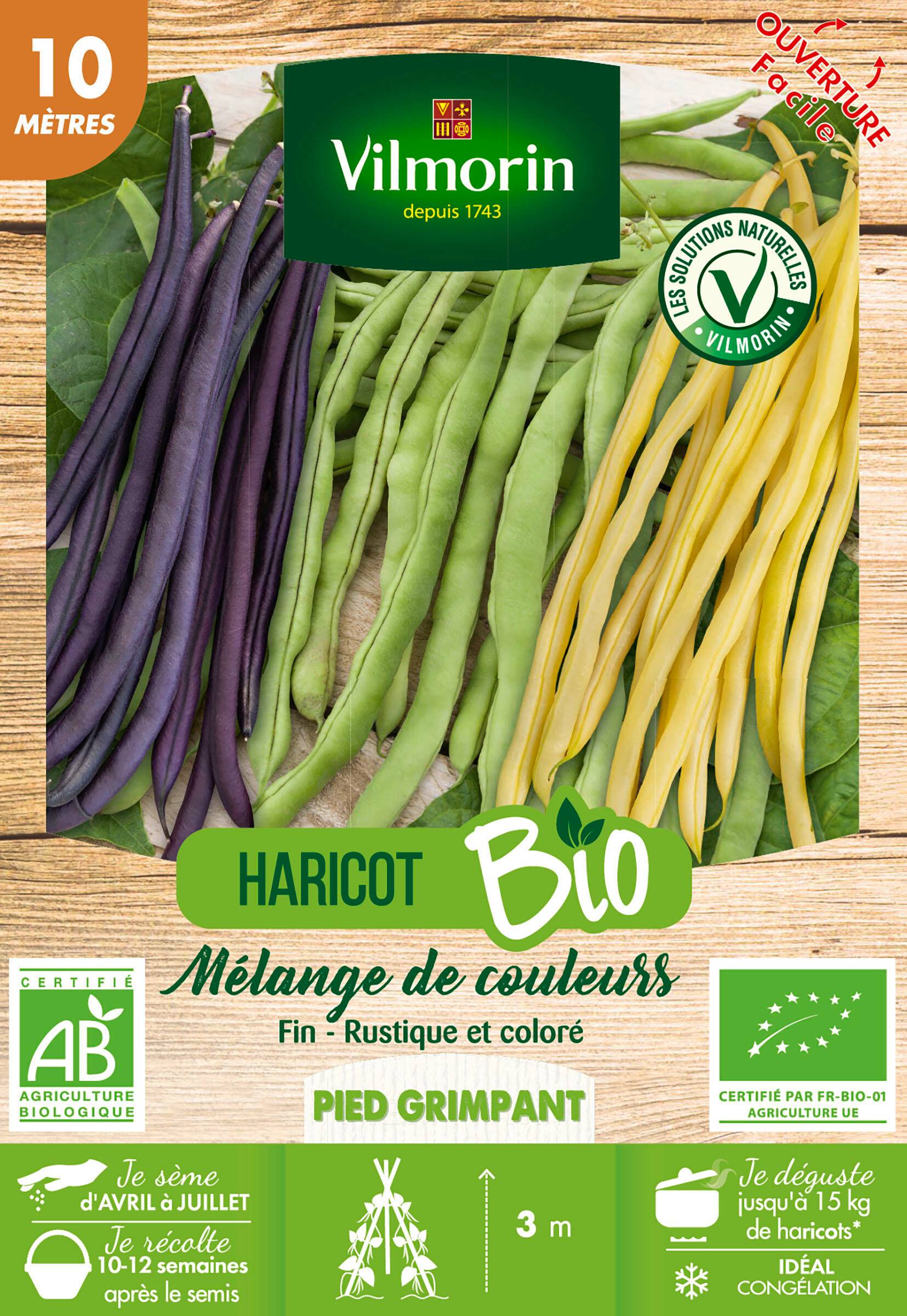 Vilmorin - Haricot Grimpant en Mélange de Couleurs Bio serie 10M boîte graines 65 g - Vilmorin - Image 2