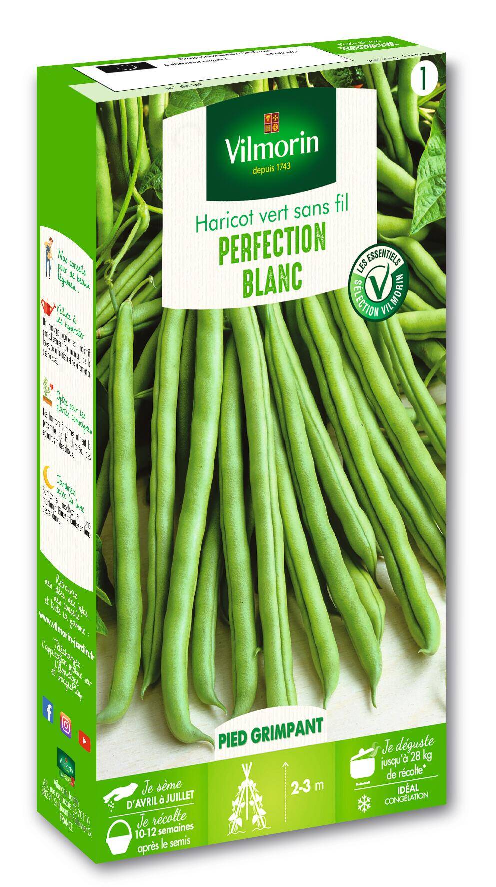 Vilmorin - Haricot blanc de juillet rames vert perfection blanc série 1 sachet graines 110 g - Vilmorin - Image 1