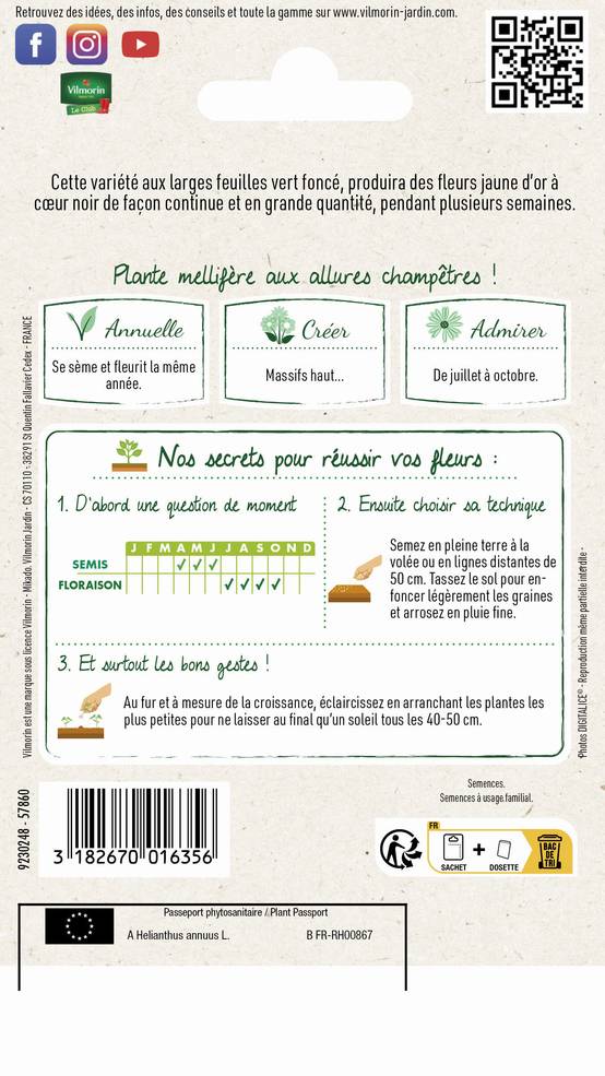 Vilmorin - Tournesol Waooh! série 2 sachet graines 1 g - Vilmorin - Image 2