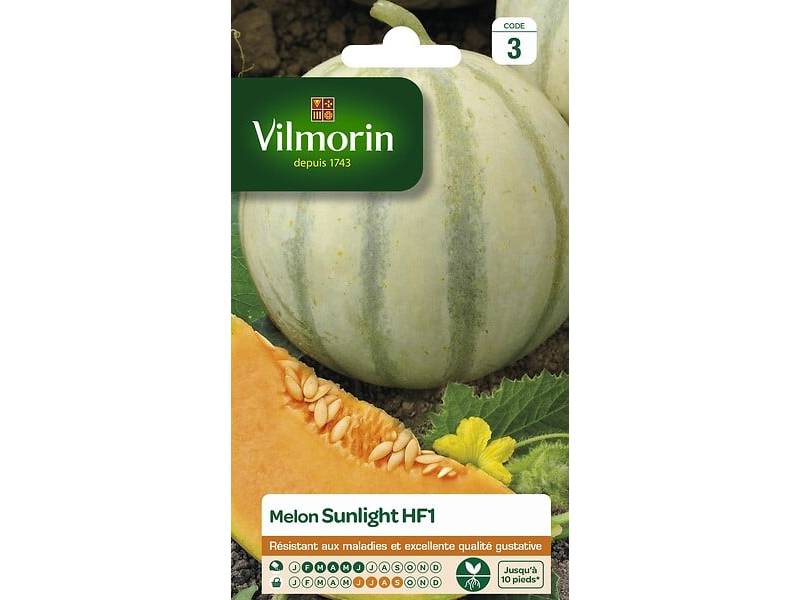Vilmorin - Melon Sunlight HF1 serie 3 sachet graines 0,5 g - Vilmorin - Image 1