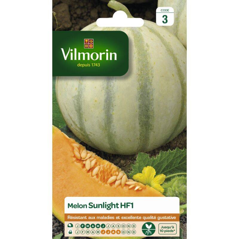Vilmorin - Melon Sunlight HF1 serie 3 sachet graines 0,5 g - Vilmorin - Image 2
