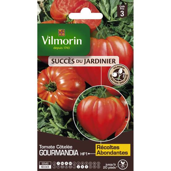 Vilmorin - Tomate Gourmandia HF1 serie 3 sachet graines 0,07 g - Vilmorin - Image 2