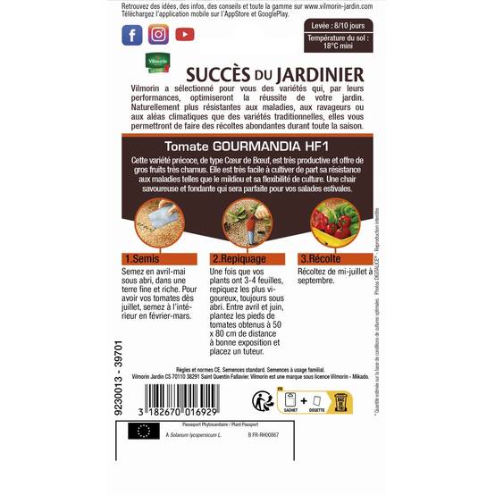 Vilmorin - Tomate Gourmandia HF1 serie 3 sachet graines 0,07 g - Vilmorin - Image 3