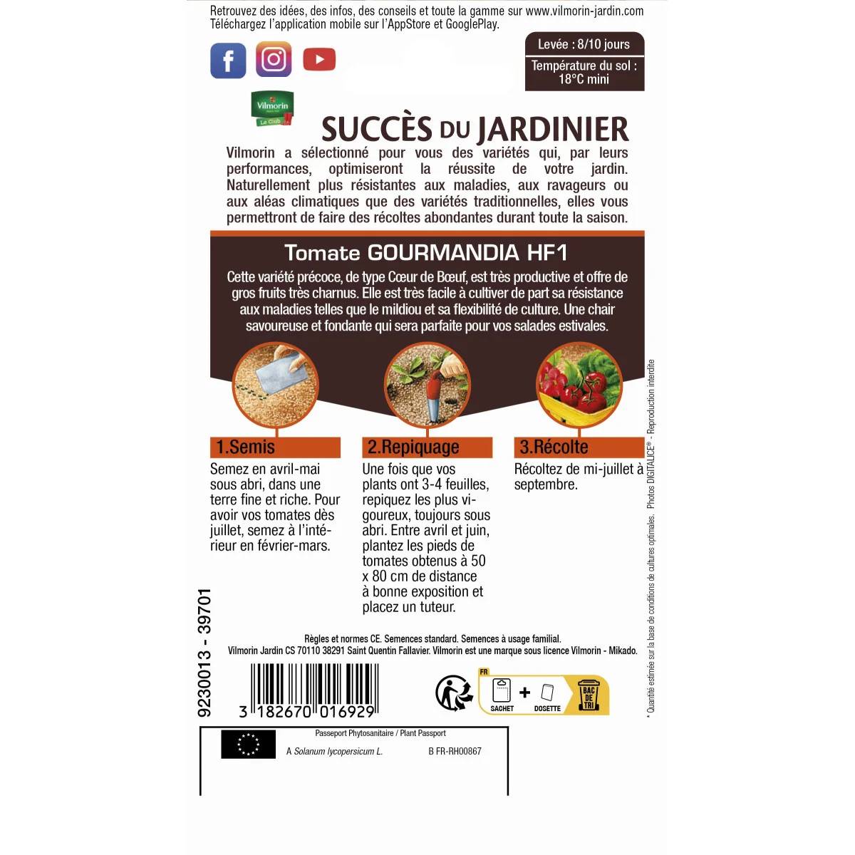 Vilmorin - Tomate Gourmandia HF1 serie 3 sachet graines 0,07 g - Vilmorin - Image 3