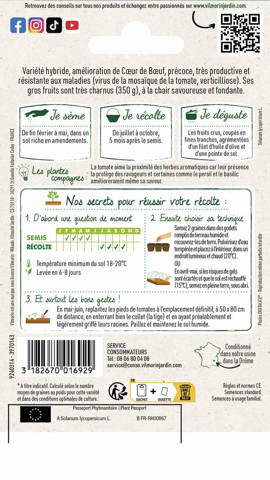 Vilmorin - Tomate Gourmandia HF1 serie 3 sachet graines 0,07 g - Vilmorin - Image 4