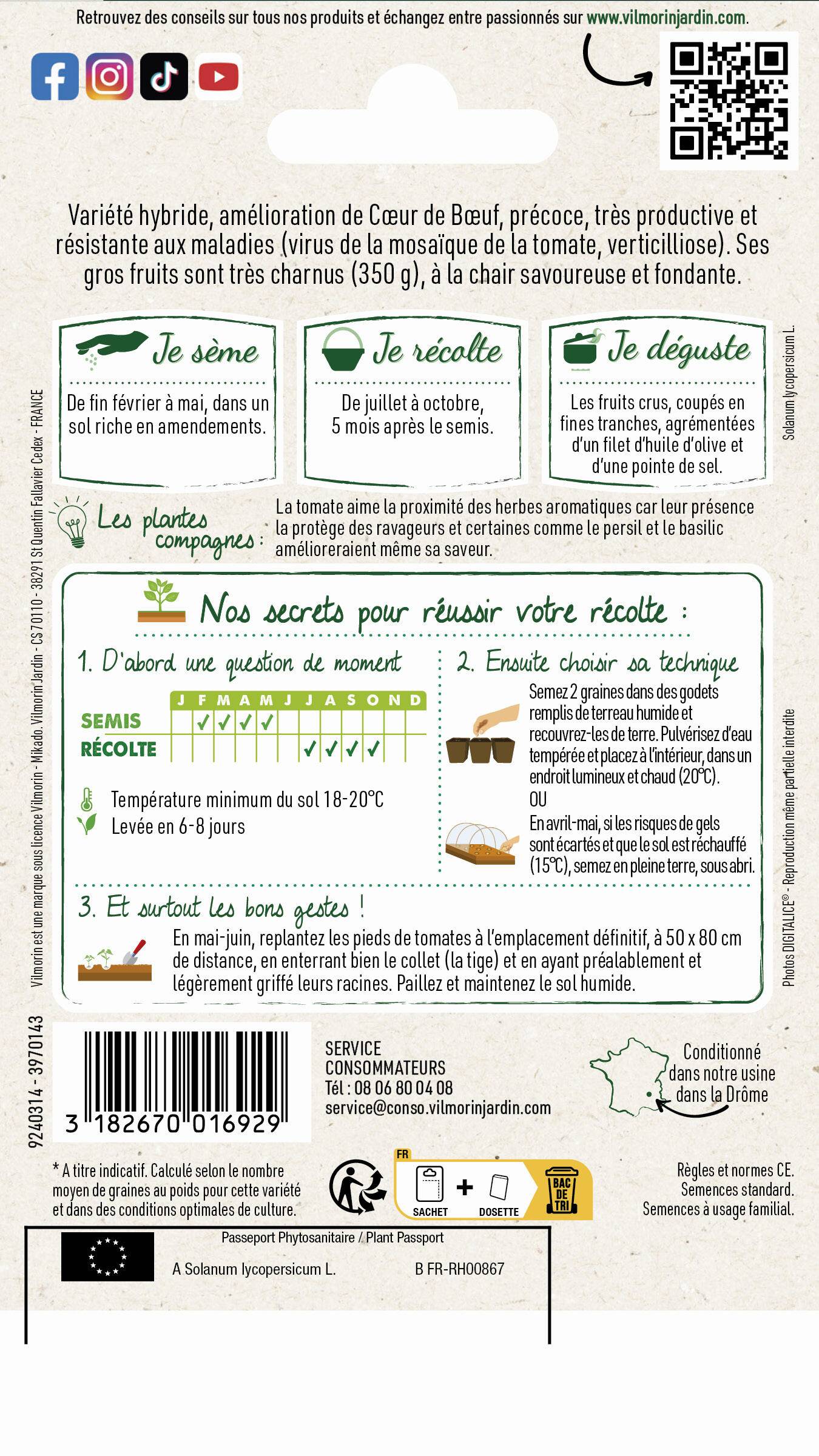 Vilmorin - Tomate Gourmandia HF1 serie 3 sachet graines 0,07 g - Vilmorin - Image 4