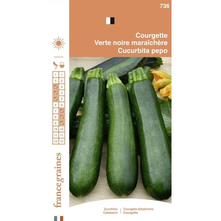 France Graines - Courgette maraichère serie 1 sachet graines 3 g - France Graines - Image 1