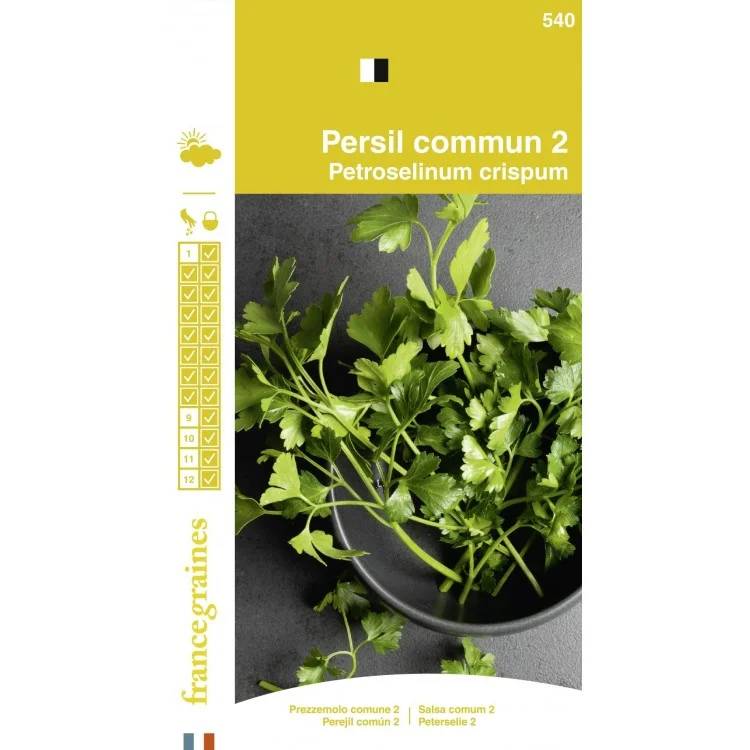 France Graines - Persil à feuilles commun 2 serie 1 sachet graines 3 g - France Graines - Image 1