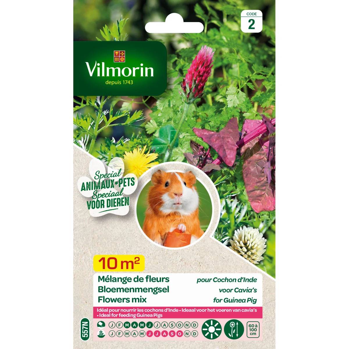 Vilmorin - Mélange de fleurs pour Cochons d'Inde serie 2 sachet graines 12 g - Vilmorin - Image 2